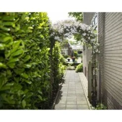 Arche De Jardin En Métal Noir Nature 6040802 -Meubles Soldes Boutique arche de jardin en metal noir nature 6040802 8711338408025 1088779