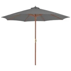 Parasol D'extérieur Avec Mât En Bois 300 Cm Anthracite